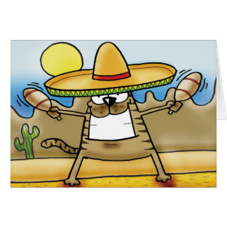 Mexicaanse Sombrero Cat