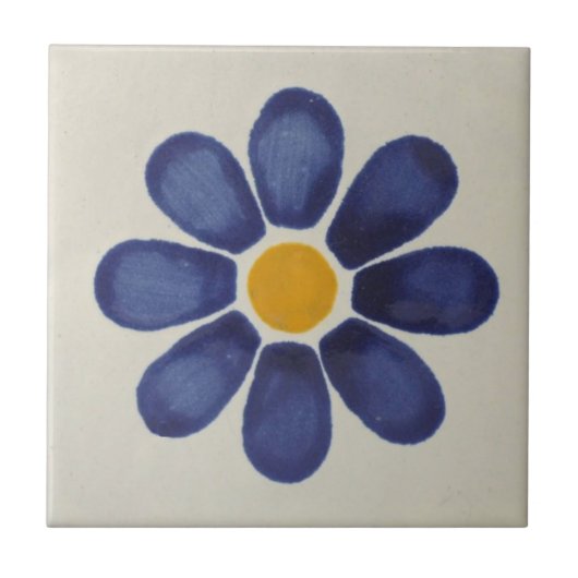 Mexicaanse Tiles Hand Painted Backsplash 6 Tegeltje (Voorkant)