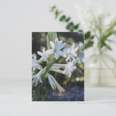 Mexicaanse Tuberose # 1 Briefkaart (Staand voorkant)