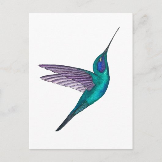 Mexicaanse Violet-oorkolibrie Briefkaart (Voorkant)