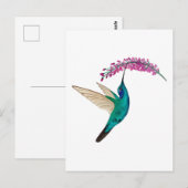 Mexicaanse Violetoor Kolibrie Briefkaart (Voorkant / Achterkant)