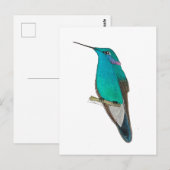 Mexicaanse Violetoorkolibrie Briefkaart (Voorkant / Achterkant)