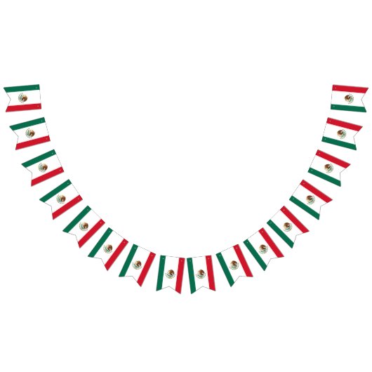 Mexicaanse vlag banner (Alle)