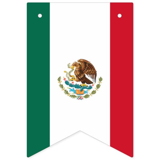 Mexicaanse vlag banner (Derde vlag)