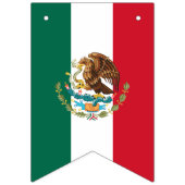 Mexicaanse vlag en Mexicaanse banners en bruilofte (Eerste vlag)