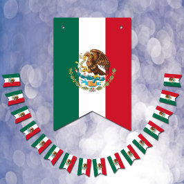 Mexicaanse vlag en Mexicaanse banners en bruilofte