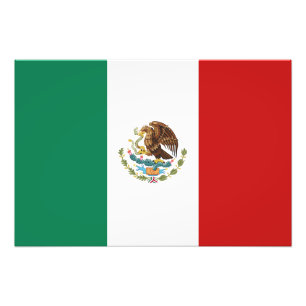 Mexicaanse vlag foto afdruk