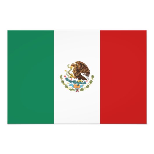 Mexicaanse vlag foto afdruk (Voorkant)