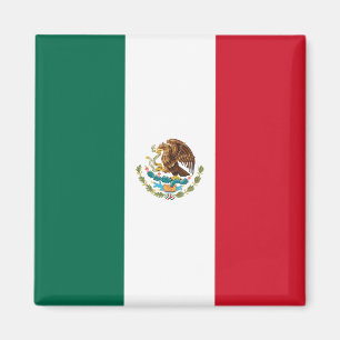 Mexicaanse vlag magneet
