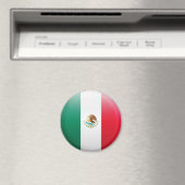Mexicaanse vlag magneet (Insitu (Vaatwasser))