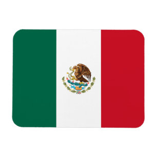 Mexicaanse vlag magneet