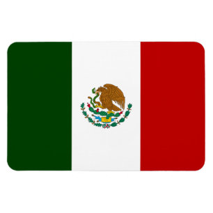 Mexicaanse vlag magneet