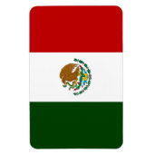 Mexicaanse vlag magneet (Verticaal)