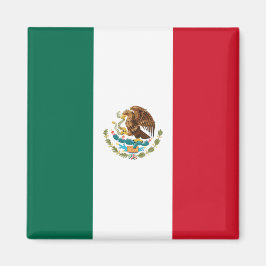 Mexicaanse vlag (Mexico) Magneet