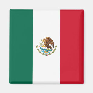 Mexicaanse vlag (Mexico) Magneet