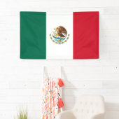 Mexicaanse vlag (Mexico) Spandoek (Insitu)