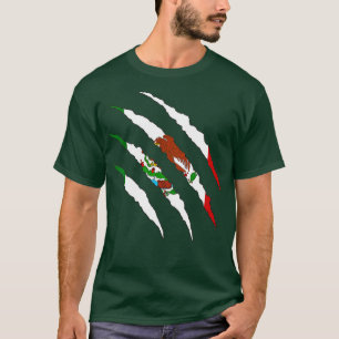 Mexicaanse vlag Mexico T-shirt