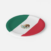 Mexicaanse vlag papieren bordje (Gekanteld)