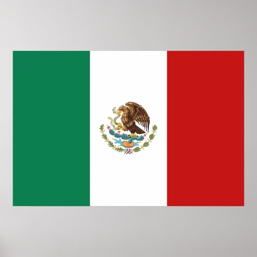 Mexicaanse vlag poster (Voorkant)