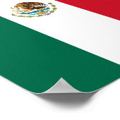 Mexicaanse vlag poster (Hoek)