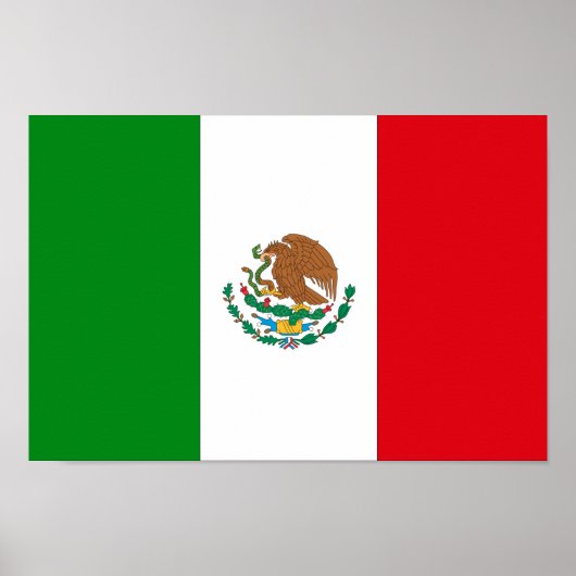 Mexicaanse vlag poster (Voorkant)
