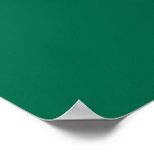 Mexicaanse vlag poster (Hoek)