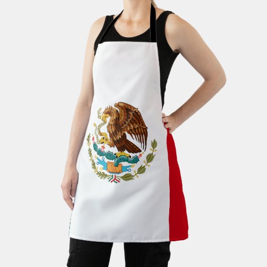 Mexicaanse vlag schort (Insitu)