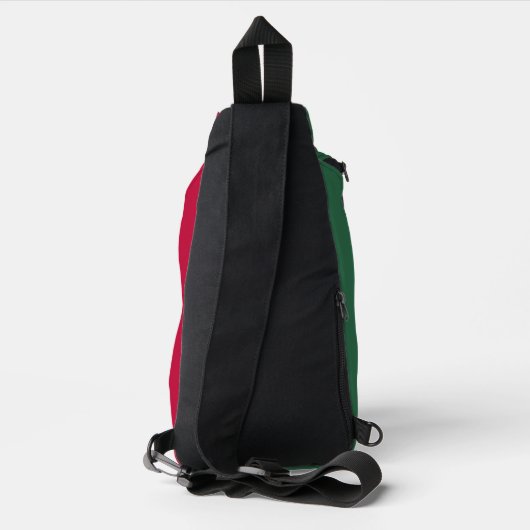 Mexicaanse vlag sling bag (Achterkant)
