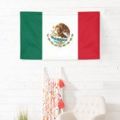 Mexicaanse vlag spandoek (Insitu)