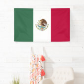 Mexicaanse vlag spandoek (Insitu)