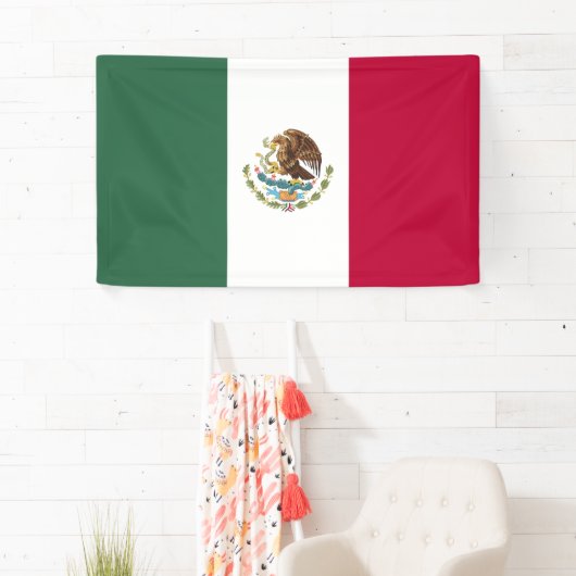 Mexicaanse vlag spandoek (Insitu)