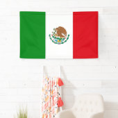 Mexicaanse vlag spandoek (Insitu)
