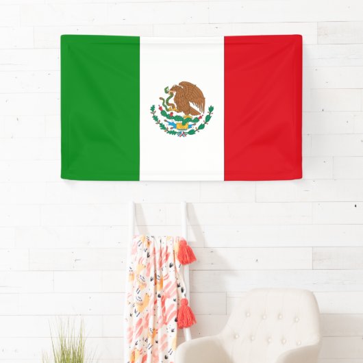 Mexicaanse vlag spandoek (Insitu)