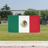 Mexicaanse vlag spandoek (Insitu)