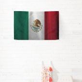 Mexicaanse vlag spandoek (Insitu)