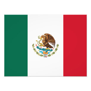 Mexicaanse vlag - vlag van Mexico Foto Afdruk