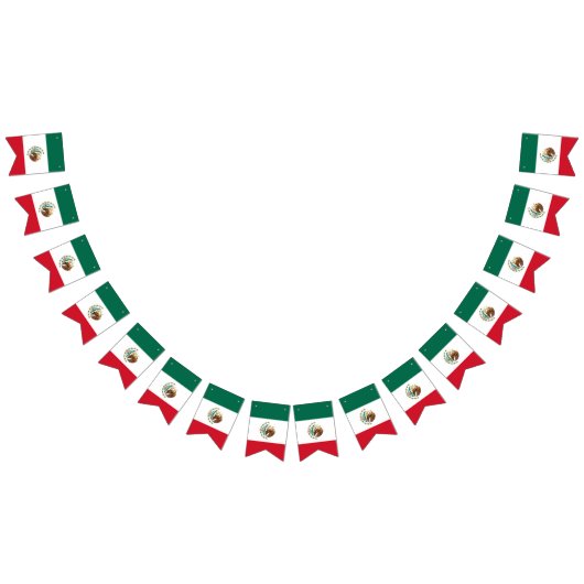 Mexicaanse vlag - vlag van Mexico Vlaggetjes (Alle)