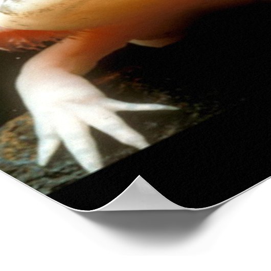 Mexicaanse Walking Fish Poster (Hoek)