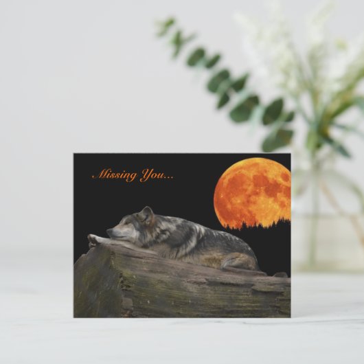 Mexicaanse Wolf & Moon - Vermiste u... Briefkaart (Staand voorkant)