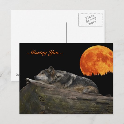 Mexicaanse Wolf & Moon - Vermiste u... Briefkaart (Voorkant / Achterkant)