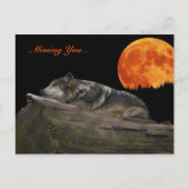 Mexicaanse Wolf & Moon - Vermiste u... Briefkaart (Voorkant)