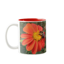 Mexicaanse zonnebloem en bijen