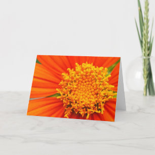 Mexicaanse zonnebloem kaart