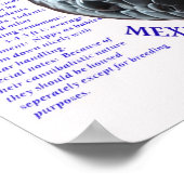 Mexicaanse zwarte koning Snake Poster (Hoek)