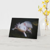 Mexican Axolotl Kaart (Gele Bloem)