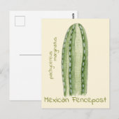 Mexican Fencepost cactus ansichtkaart Briefkaart (Voorkant / Achterkant)