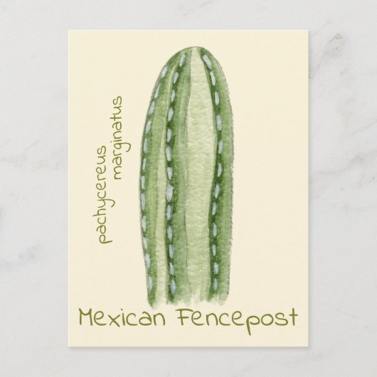 Mexican Fencepost cactus ansichtkaart Briefkaart (Voorkant)