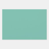 Mexican Fiesta Inpakpapier Vel (Voorkant 3)