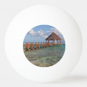 Mexican gazebo pingpongbal (Achterkant)