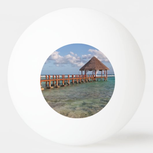 Mexican gazebo pingpongbal (Voorkant)